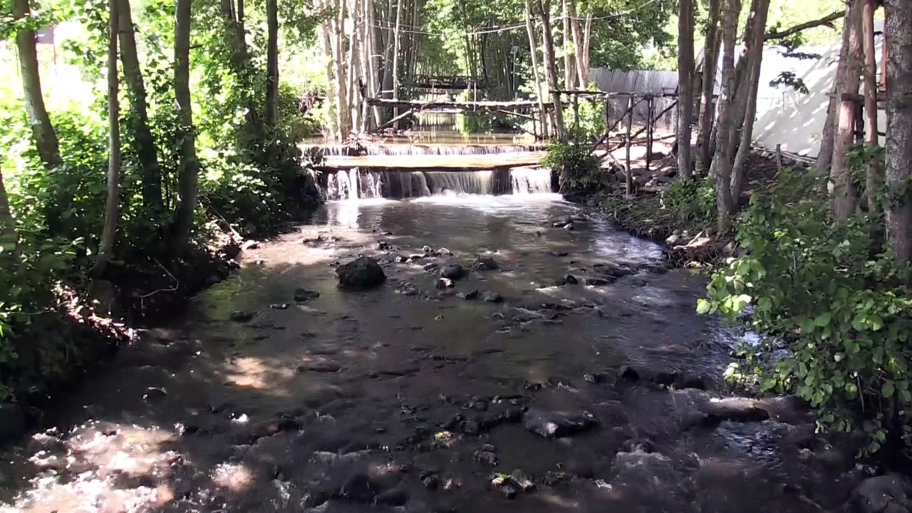 Akkuş'ta 'kaz çiftliği' kurdu siparişlere yetişemiyor - ORDU