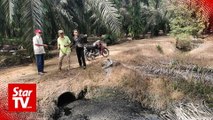 Lumut villagers claim poultry farms contaminating oil palm plantation water supply