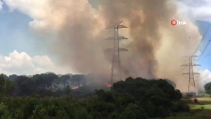 - Hasdal askeri bölge yakınında bulunan ormanlık alanda yangın çıktı.