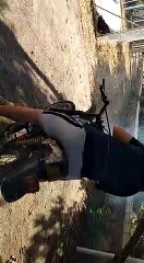 PUCH MINICROS COLD START 2019