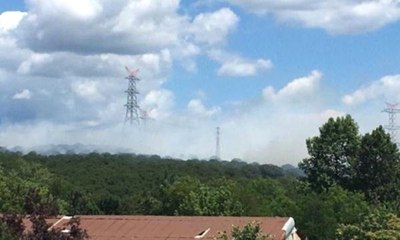 İstanbul Hasdal'da orman yangını