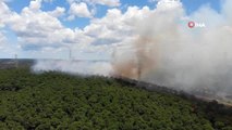 Hasdal'da askeri alandaki ormanlık alanda yangını devam ediyor