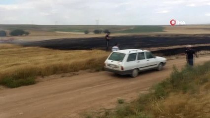 Trafoda akıma kapılan kuşlar tarlanın yanmasına sebep oldu