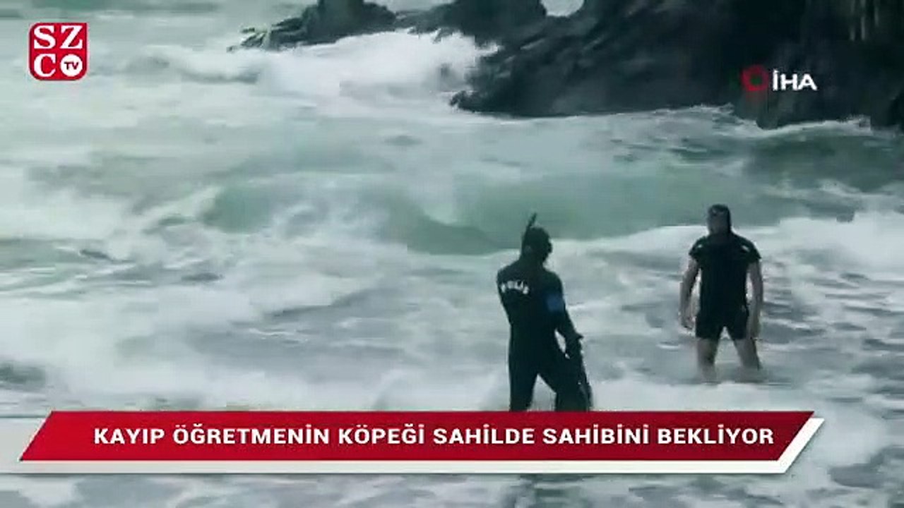 Kayıp öğretmenin köpeği sahilde sahibini bekliyor