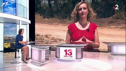 Incendies : le Gard toujours sous haute surveillance