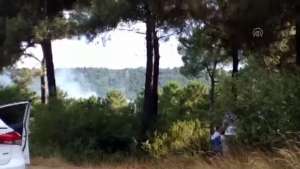 Sultanbeyli'de ormanlık alanda yangın - İSTANBUL