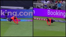 Ravindra Jadeja's stunning catch to sends back Jason Roy