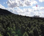 Aydos Ormanı'ndaki yangına helikopterle müdahale edildi
