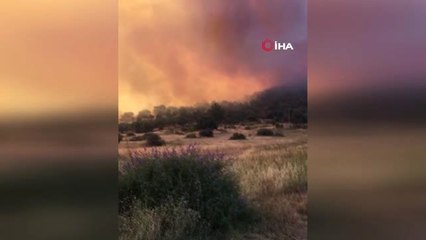 İzmir'deki yangın yazlık evlere doğru ilerliyor