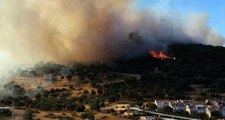 İzmir'de korkutan yangın! Ormanlık alana sıçradı