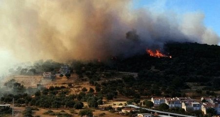 İzmir'de korkutan yangın! Ormanlık alana sıçradı