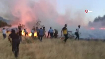 Adıyaman'da mesire alanındaki yangın ormanlık alanına sıçradı