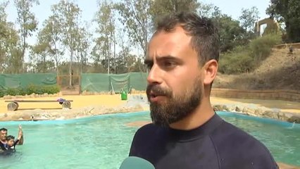 La reserva del Castillo de las Guardas descubre el poder terapéutico de los leones marinos