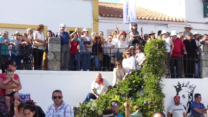 Entrada de touro na festa da Sardinha assada Benavente 2019