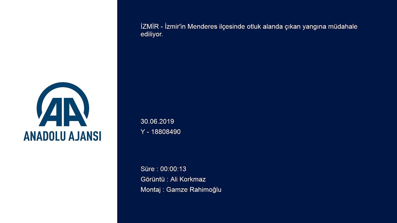 Otluk alanda yangın - İZMİR