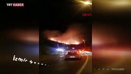 İzmir'de otluk alanda yangın