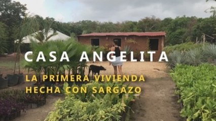 Casa Angelita, la primera casa fabricada con sargazo