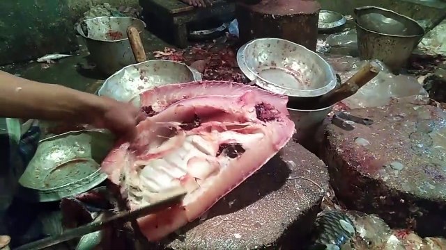 Amazing Live Fish Cutting Skills in Fish Market 2019-Fastest Rui Fish Slicing_HD