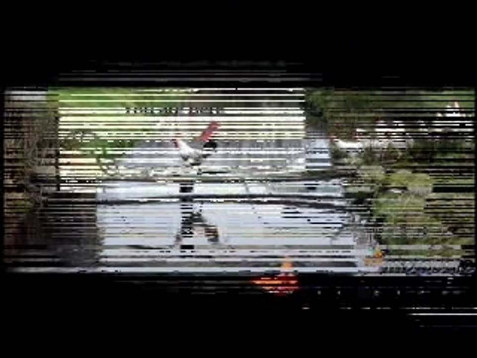 funny Video 895 (blukorfinance.blogspot.com)