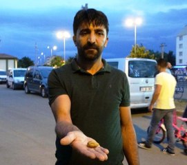 Iğdır'da bulunan kayısı fosili şaşırttı! "İddia ediyoruz, bilim insanları gelsin, ana vatanı burası"