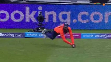ICC Cricket World Cup 2019 : Ravindra Jadeja Takes A Stunning Catch To Dismiss Jason Roy || Oneindia