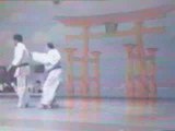 Nihon-Tai-jitsu