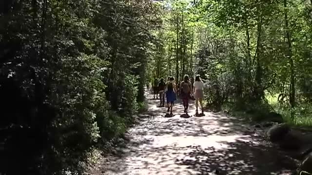 Llamamiento ciudadano para identificar el paisaje de un cuadro del siglo XIX