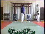 Nihon-Tai-Jitsu