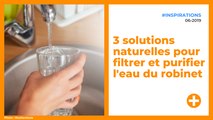 3 solutions naturelles pour filtrer et purifier l'eau du robinet