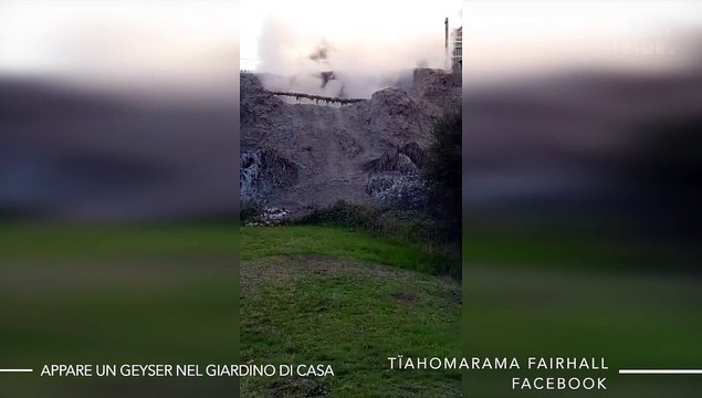 Si sveglia e trova un enorme geyser nel suo giardino!