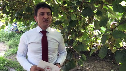 Kivide yüksek kalite ve verim için 'arılı proje' - YALOVA