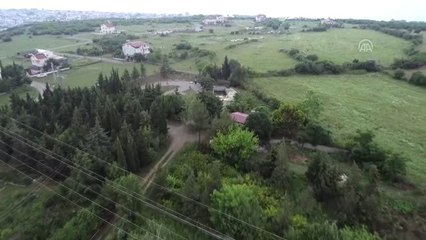 Yıllarca emek verip kıraç alanı "botanik park" yaptı - SAMSUN