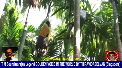 Idhayathil Oruvan   2017  T M Soundararajan Legend   son  TMS  Selvakumar  song  2