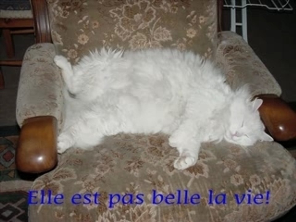 Bébé flocon