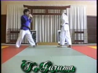 Nihon-Tai-Jitsu