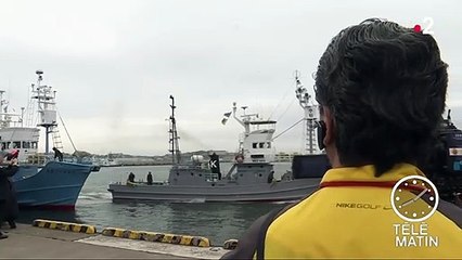 30 ans plus tard, le Japon se relance dans la chasse à la baleine