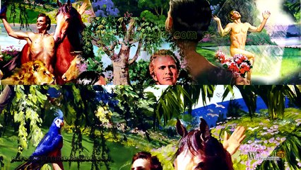 Quais foram as leis dadas a Adão? VC5-E5-P