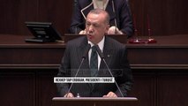 Erdogan nuk thyhet: Nuk kemi pse të marrim leje - Top Channel Albania - News - Lajme