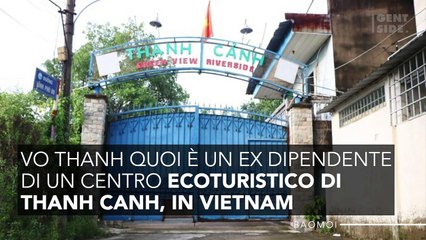 Si avvicina a una tigre per darle da mangiare ma se ne pente amaramente