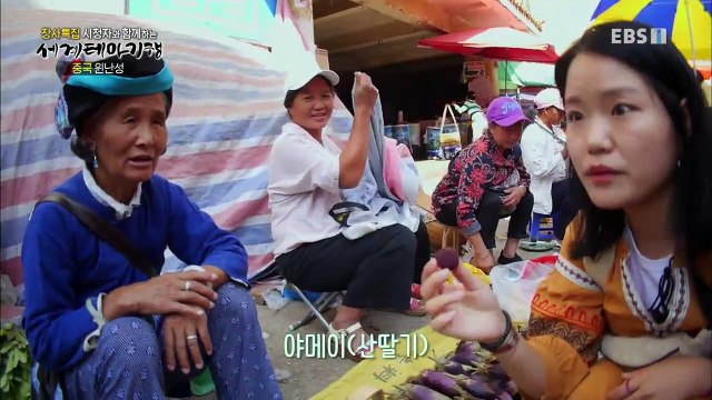 세계테마기행 - '창사특집' 시청자와 함께하는 1부- 둘이라서 좋은 중국 윈난성_#001