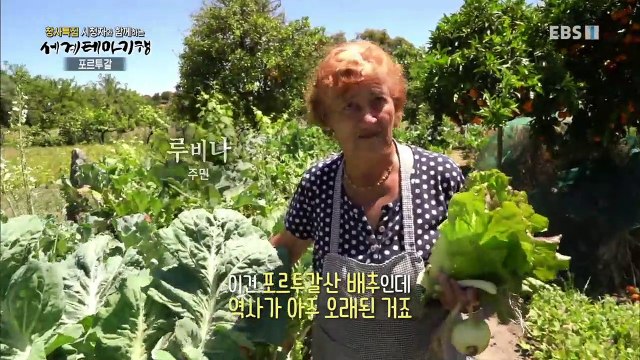 세계테마기행 - '창사특집' 시청자와 함께하는 2부- 꽃보다 아름다워, 포르투갈_#002