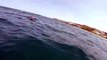 Cette baleine renverse un Kayak en remontant à la surface de l'océan !