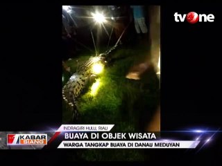 Buaya 3 Meter di Tempat Wisata Danau Meduyan Gegerkan Warga