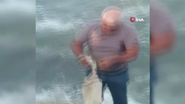 Ağlara takılan caretta caretta duyarlı vatandaşlar tarafından kurtarıldı