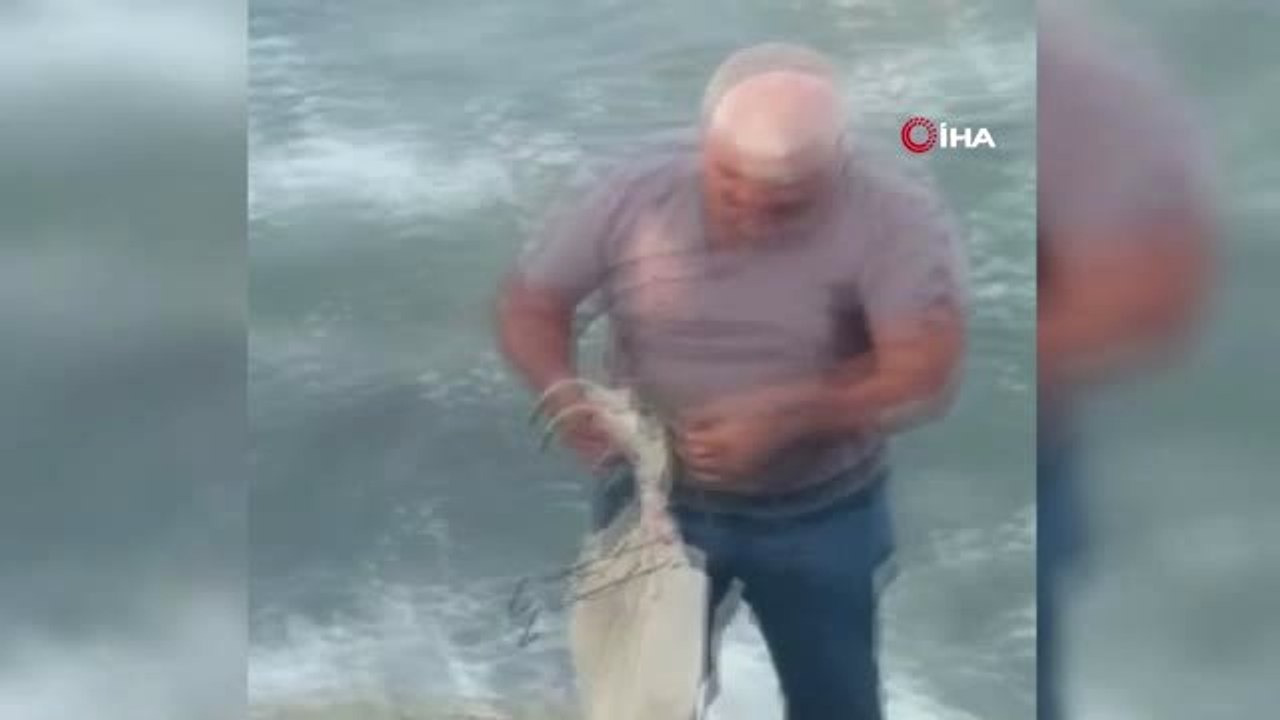 Ağlara takılan caretta caretta duyarlı vatandaşlar tarafından kurtarıldı