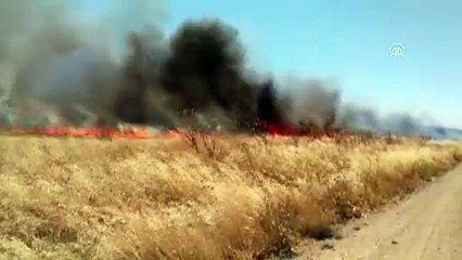 Suriye sınırında yangın - ŞANLIURFA