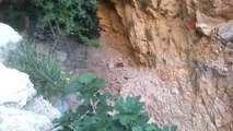 Kaş'ta kayalıklardan düşen yavru geyik kurtarıldı