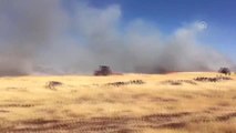 Siverek'te arazi yangını