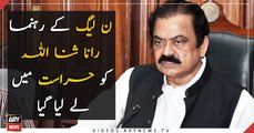 ANF Arrests Rana Sanaullah