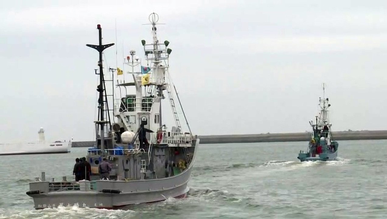 Japan jagt wieder Wale